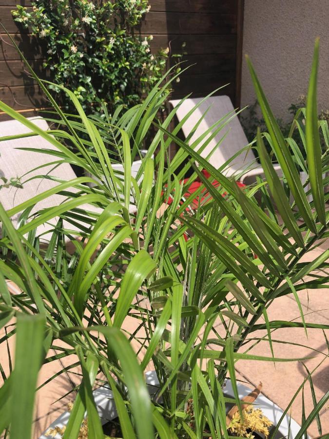 旺德尔港La Terrasse公寓 外观 照片